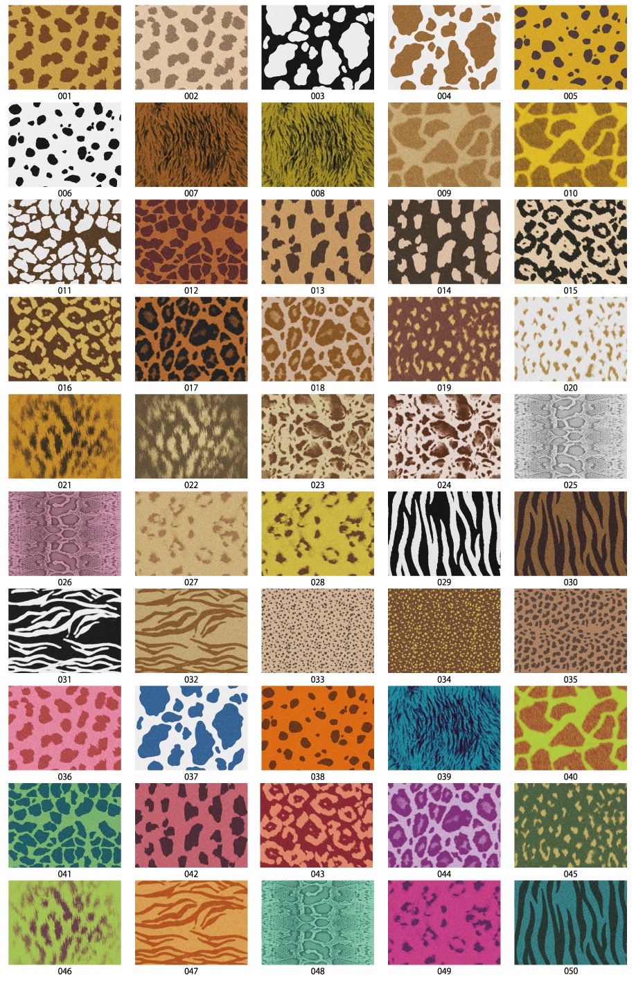 アニマルテクスチャ