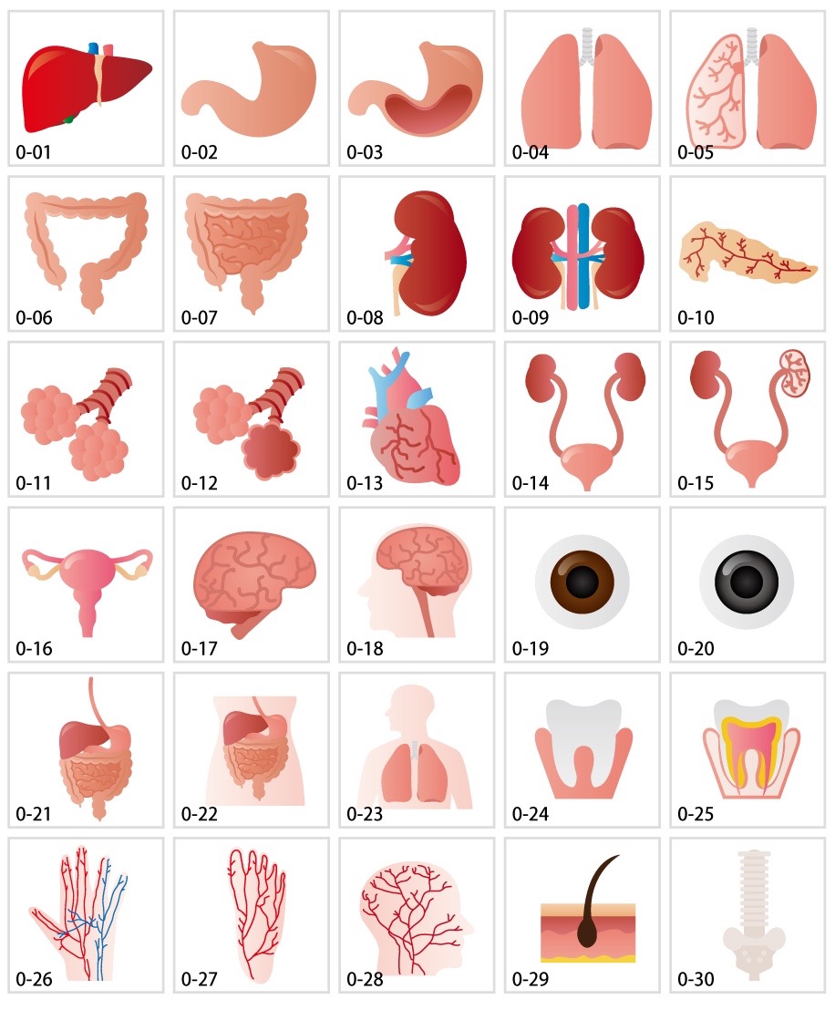 Tài liệu minh họa của các cơ quan