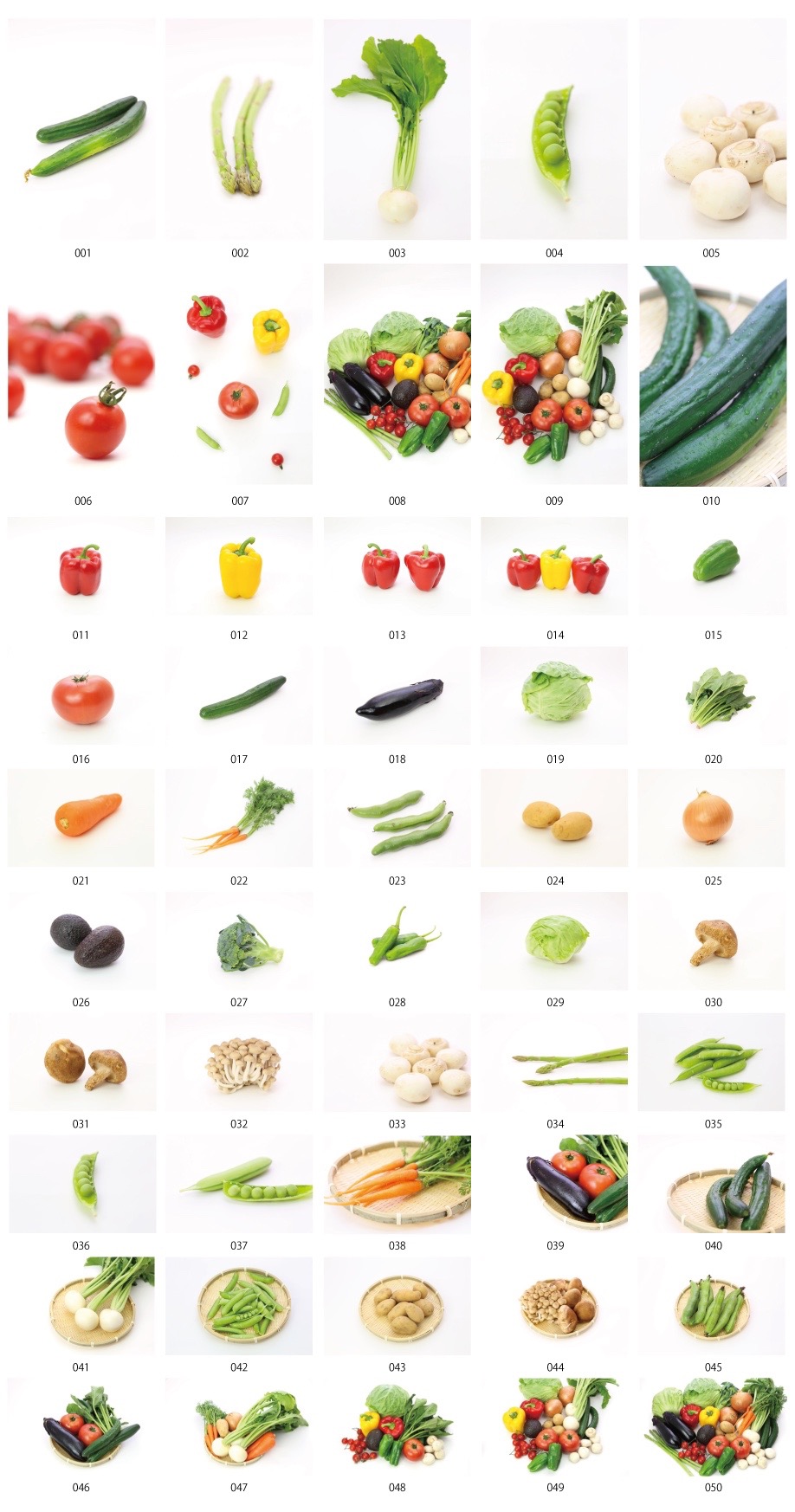 วัสดุผักป่าปริมาณ 1