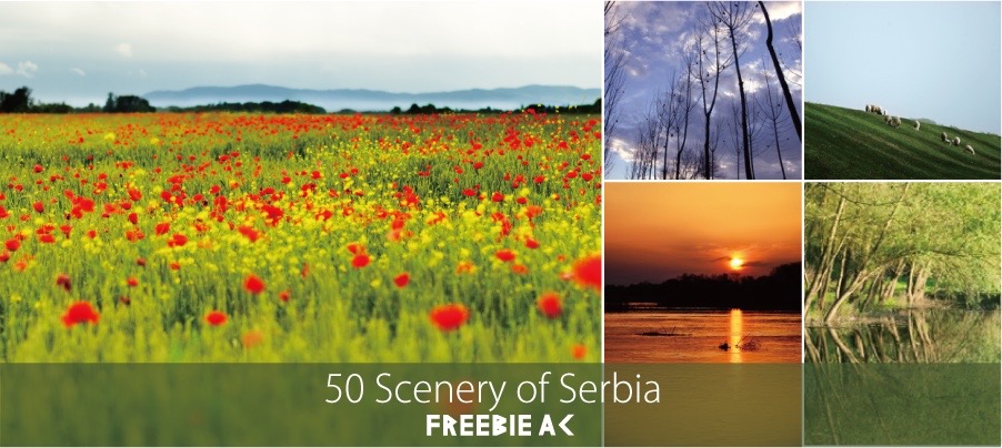 아름다운 풍경 사진 세르비아 편