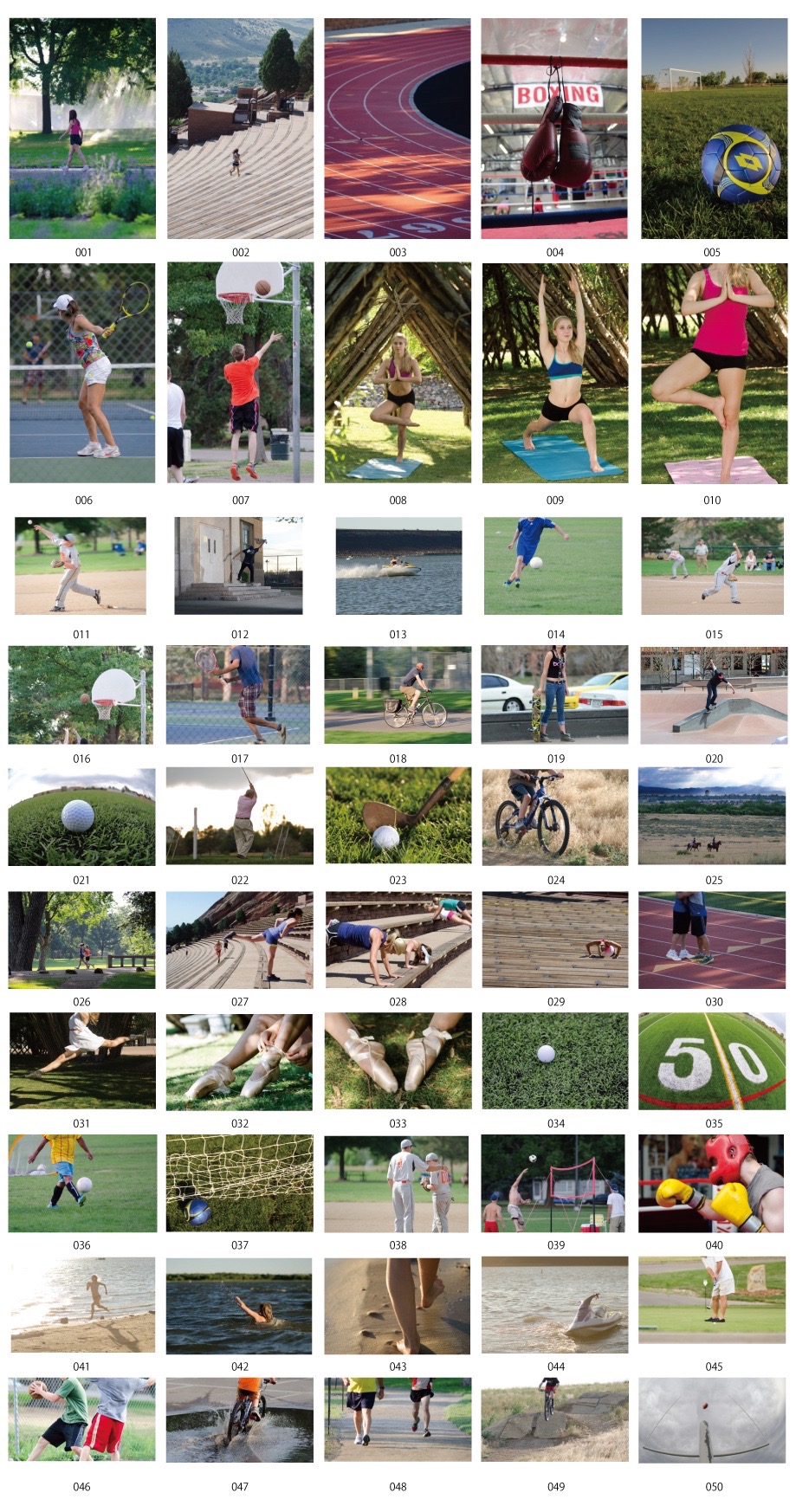 วัสดุภาพกีฬา