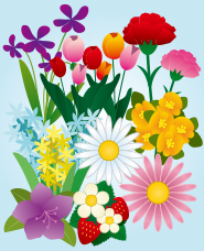 Tài liệu minh họa hoa mùa xuân