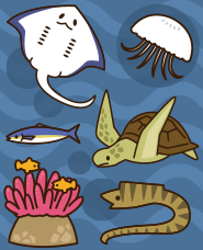 魚・海の生き物イラスト素材