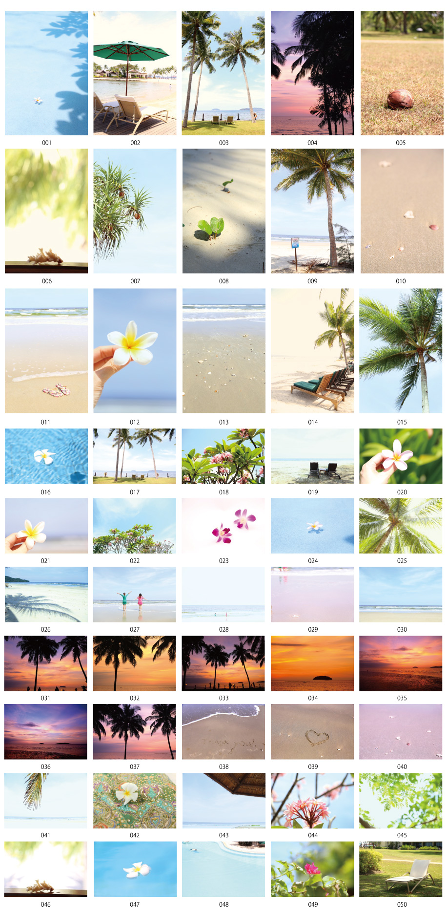 วัสดุรูปภาพของบีชรีสอร์ท