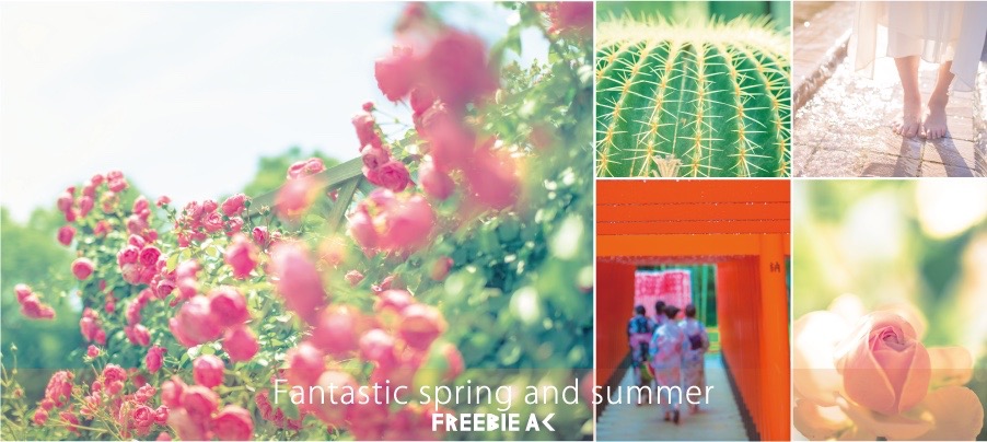 Hình ảnh phong cảnh tuyệt vời của mùa xuân và mùa hè