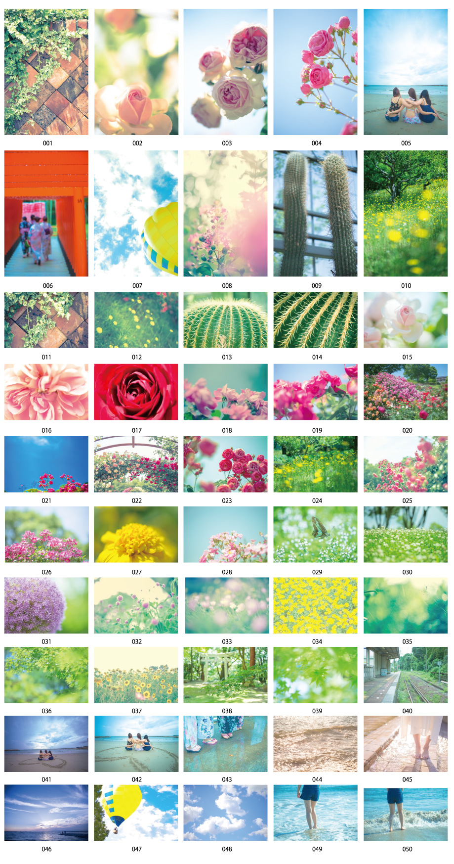 Hình ảnh phong cảnh tuyệt vời của mùa xuân và mùa hè