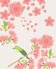 桜・花見のイラスト素材