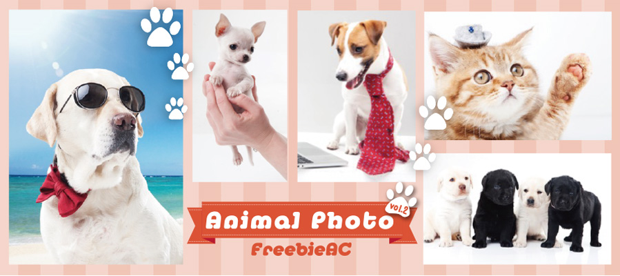 Vật liệu ảnh động vật vol 2