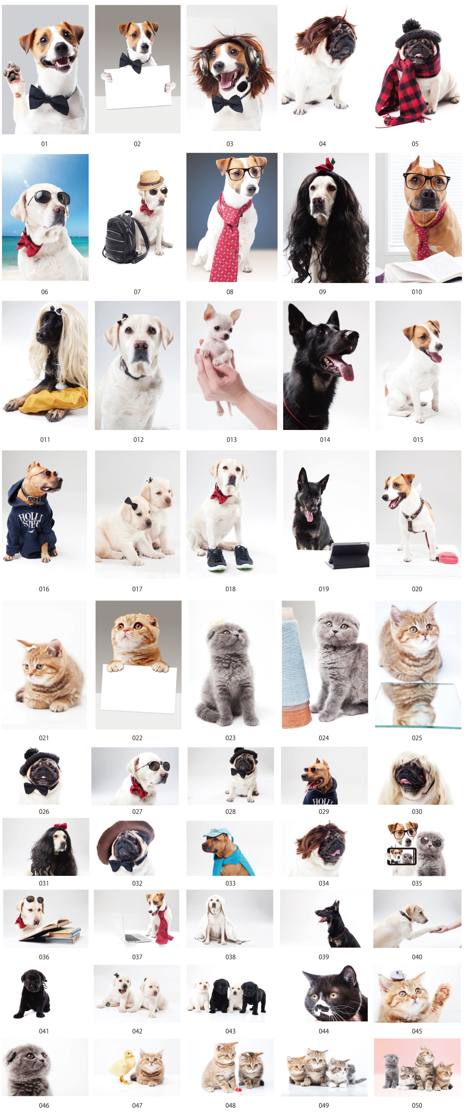 Vật liệu ảnh động vật vol 2