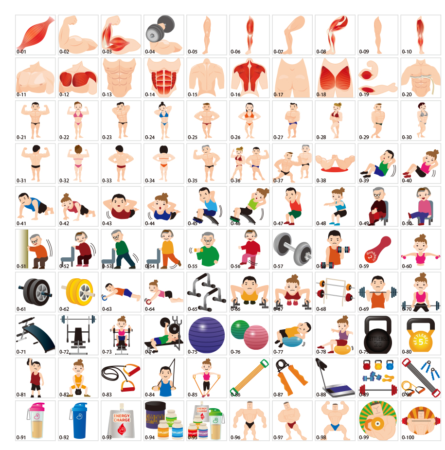 กล้ามเนื้อภาพประกอบ