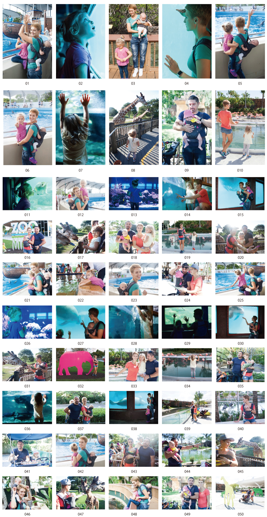 관광 사진 소재 수족관 · 동물원 편