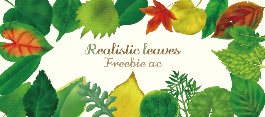 Realistic leaves illustration