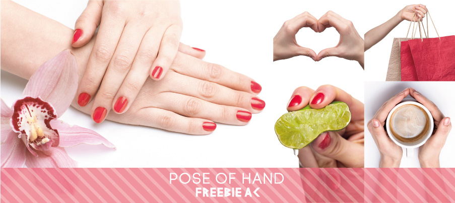 มือถ่ายรูปคอลเลกชันภาพถ่าย _ โวล 2