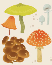 蘑菇插圖材料