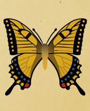 Butterfly picture book illustration