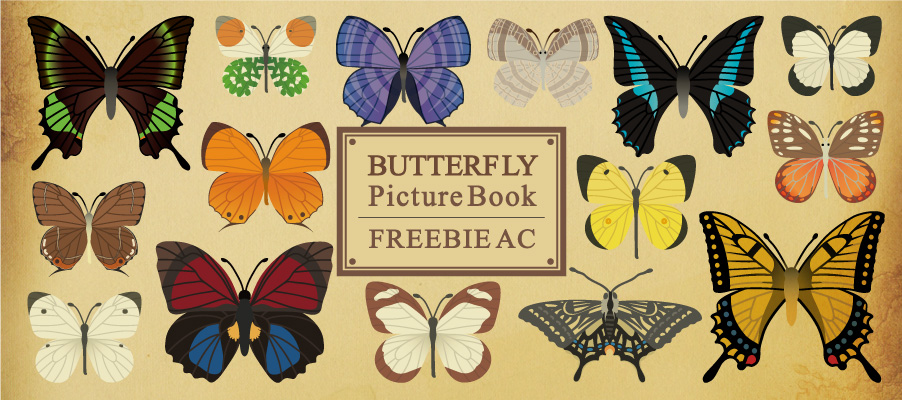 Butterfly picture book illustration