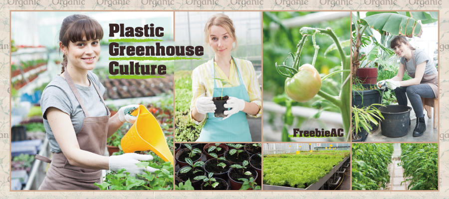 ハウス園芸の写真素材