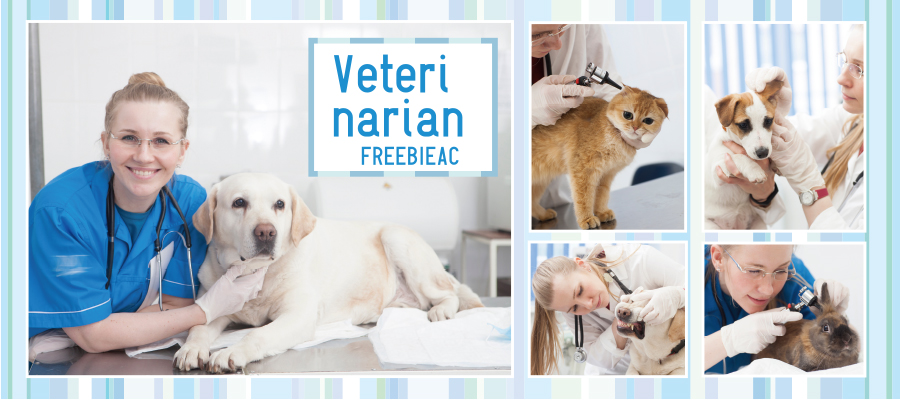 獣医の写真素材