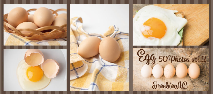 Egg photos vol.2