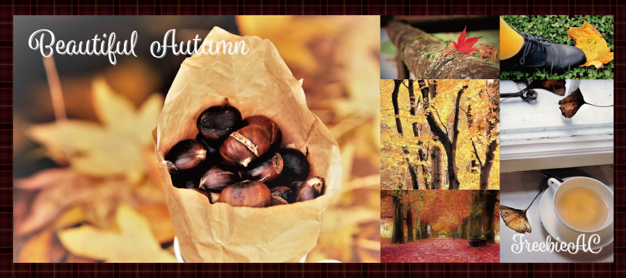 美しい秋の風景写真素材