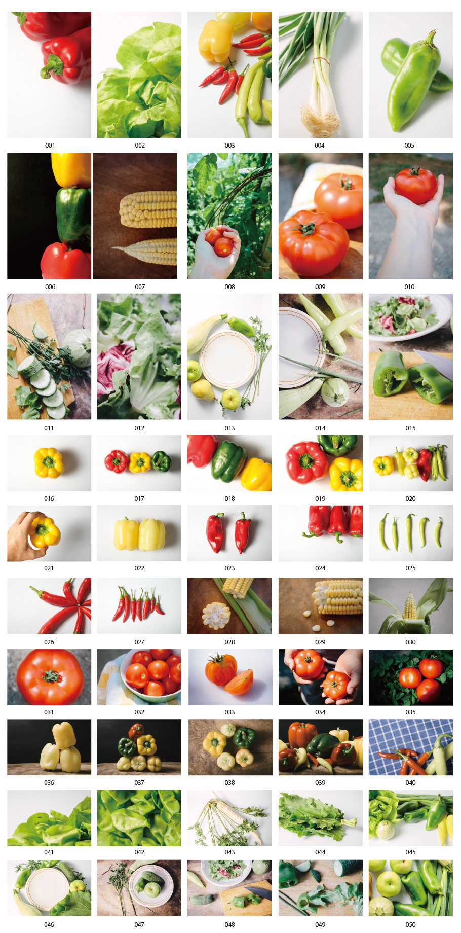 Vegetables photos vol.4 