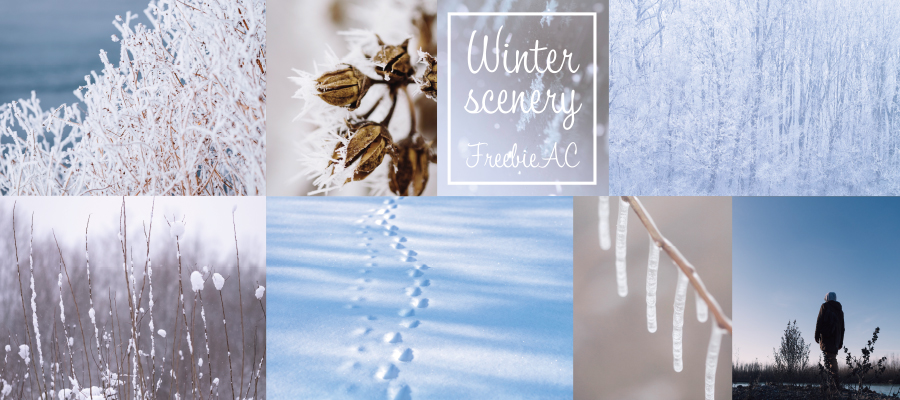 冬の景色写真素材 無料素材ならフリービーac