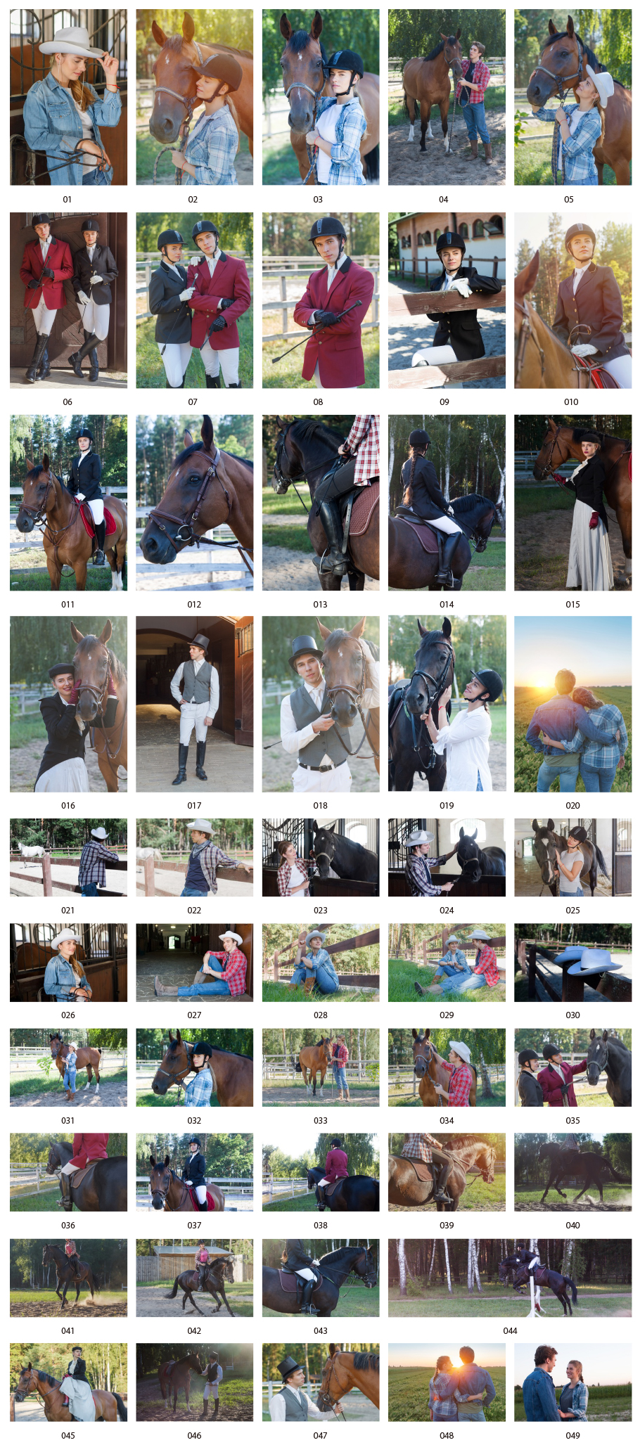 Horse riding photo material