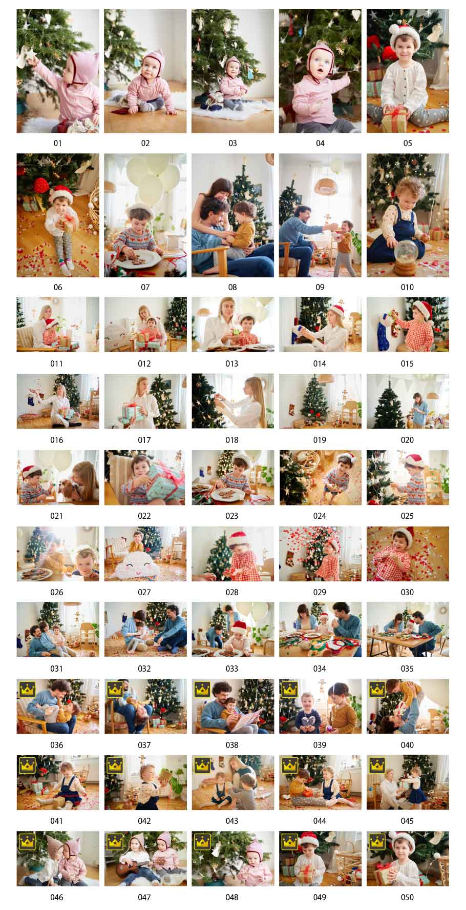 Christmas photos for the family