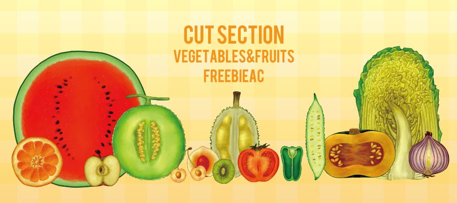 Fruit cross section illustration