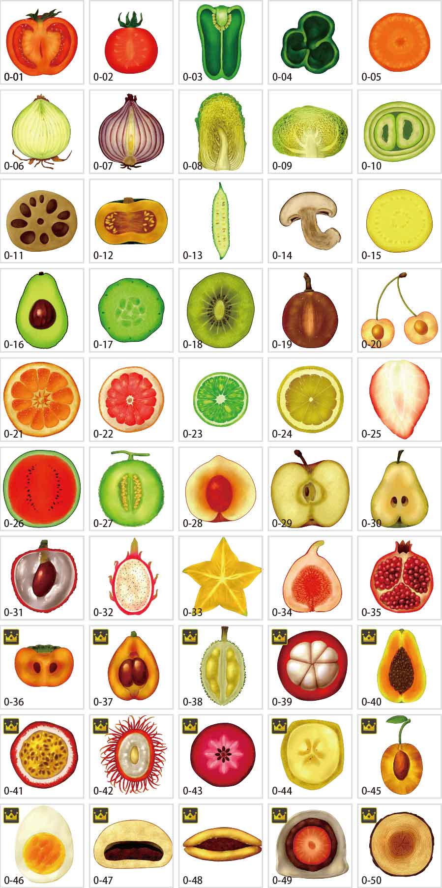 Hình minh họa mặt cắt trái cây