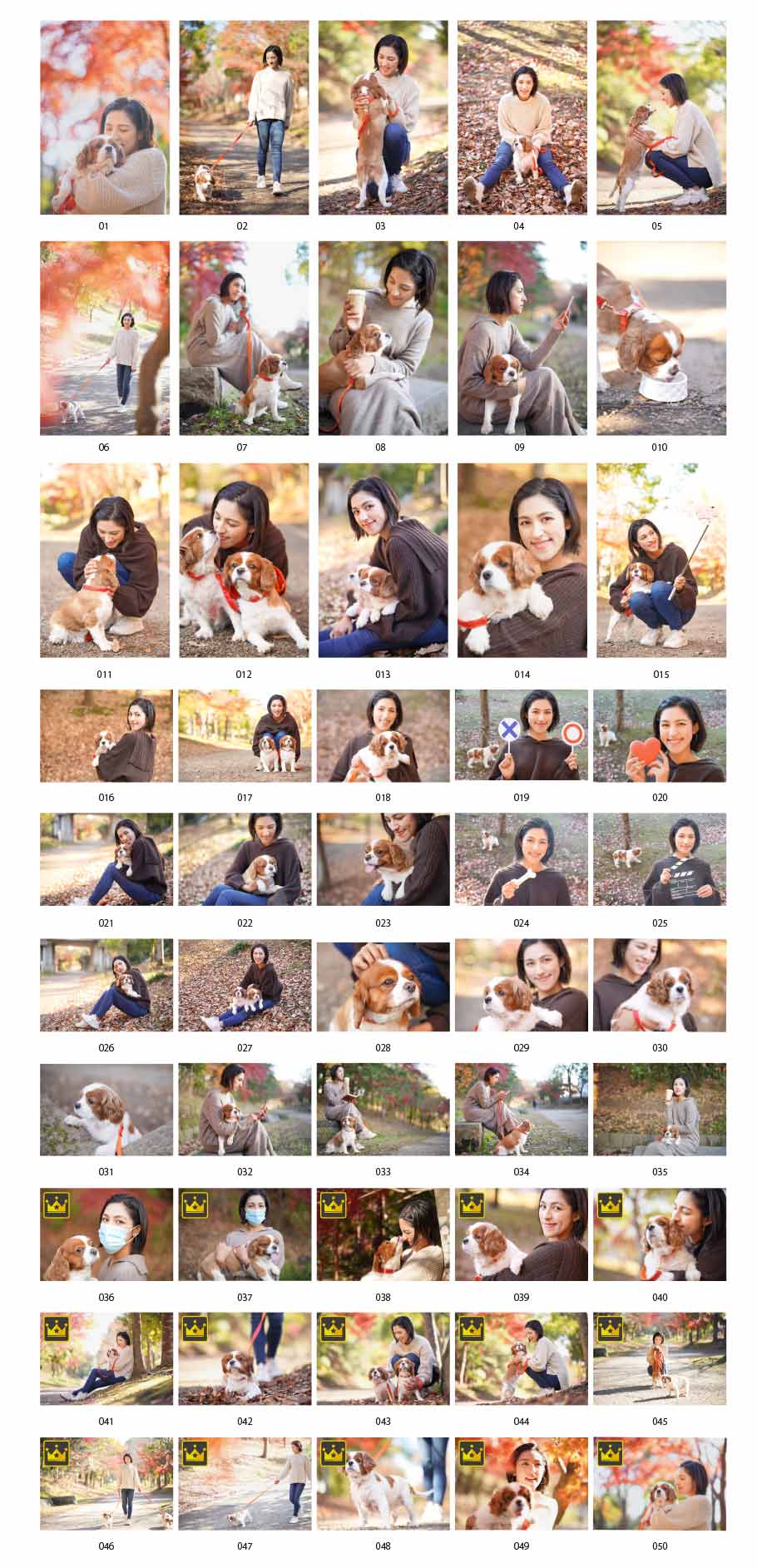 Photos of a woman who has a dog