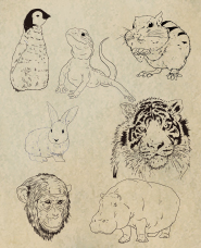 手描きの動物イラスト