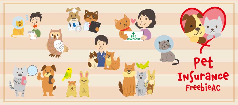 Pet insurance illustration