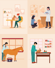 Veterinary illustration collection