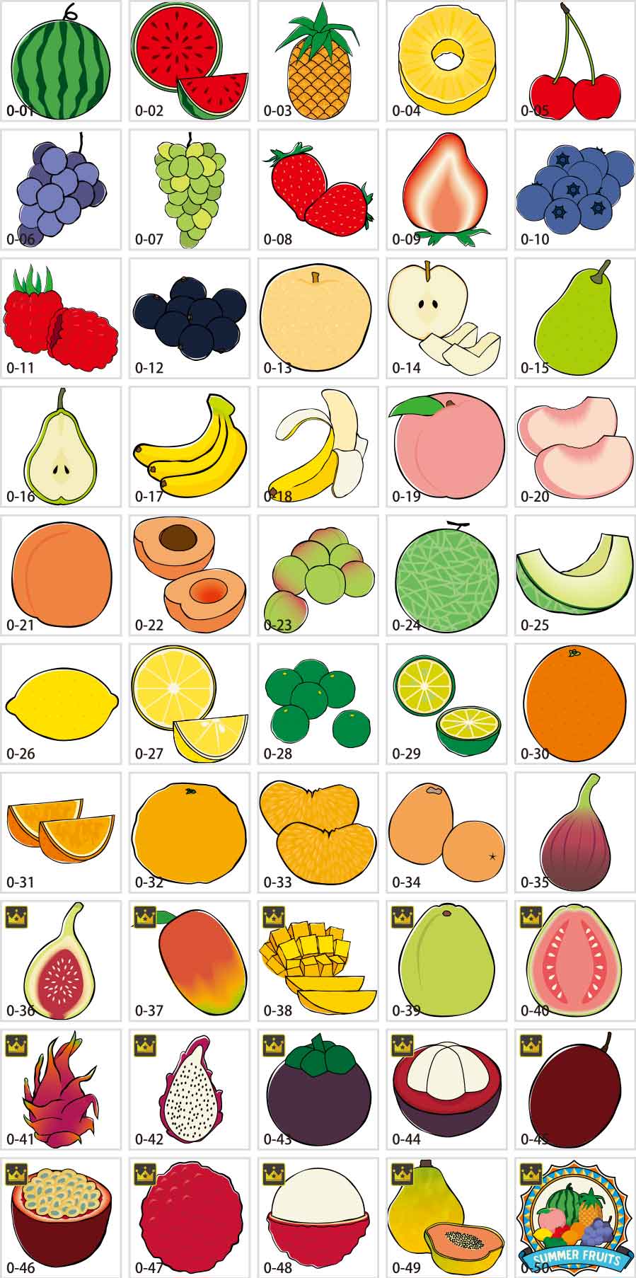 Minh họa trái cây mùa hè
