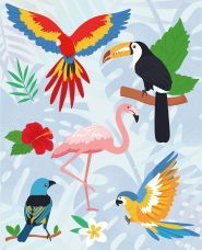 Tropical bird illustration collection