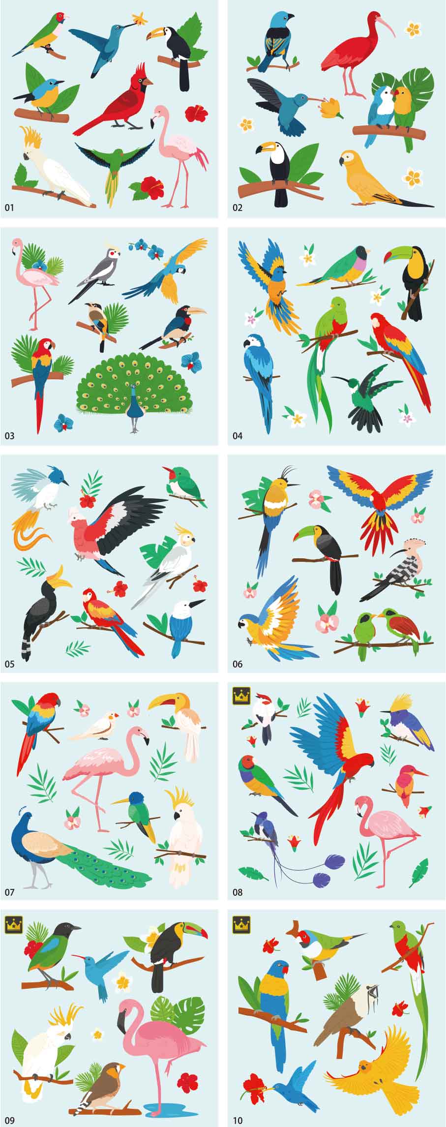 Tropical bird illustration collection