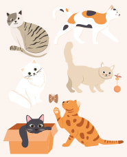 Cat illustration collection