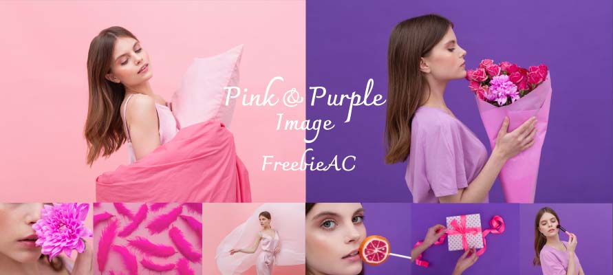 粉紅色和紫色圖像照片