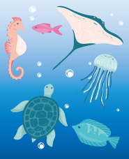 海の生き物イラストコレクション