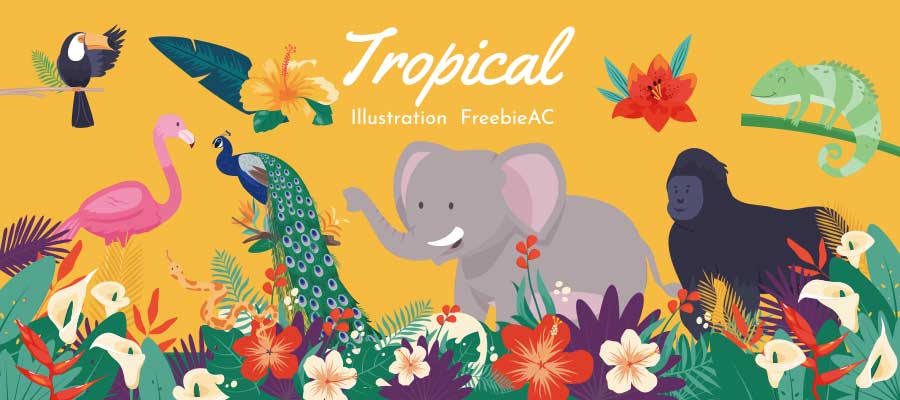 トロピカルなイラストコレクション
