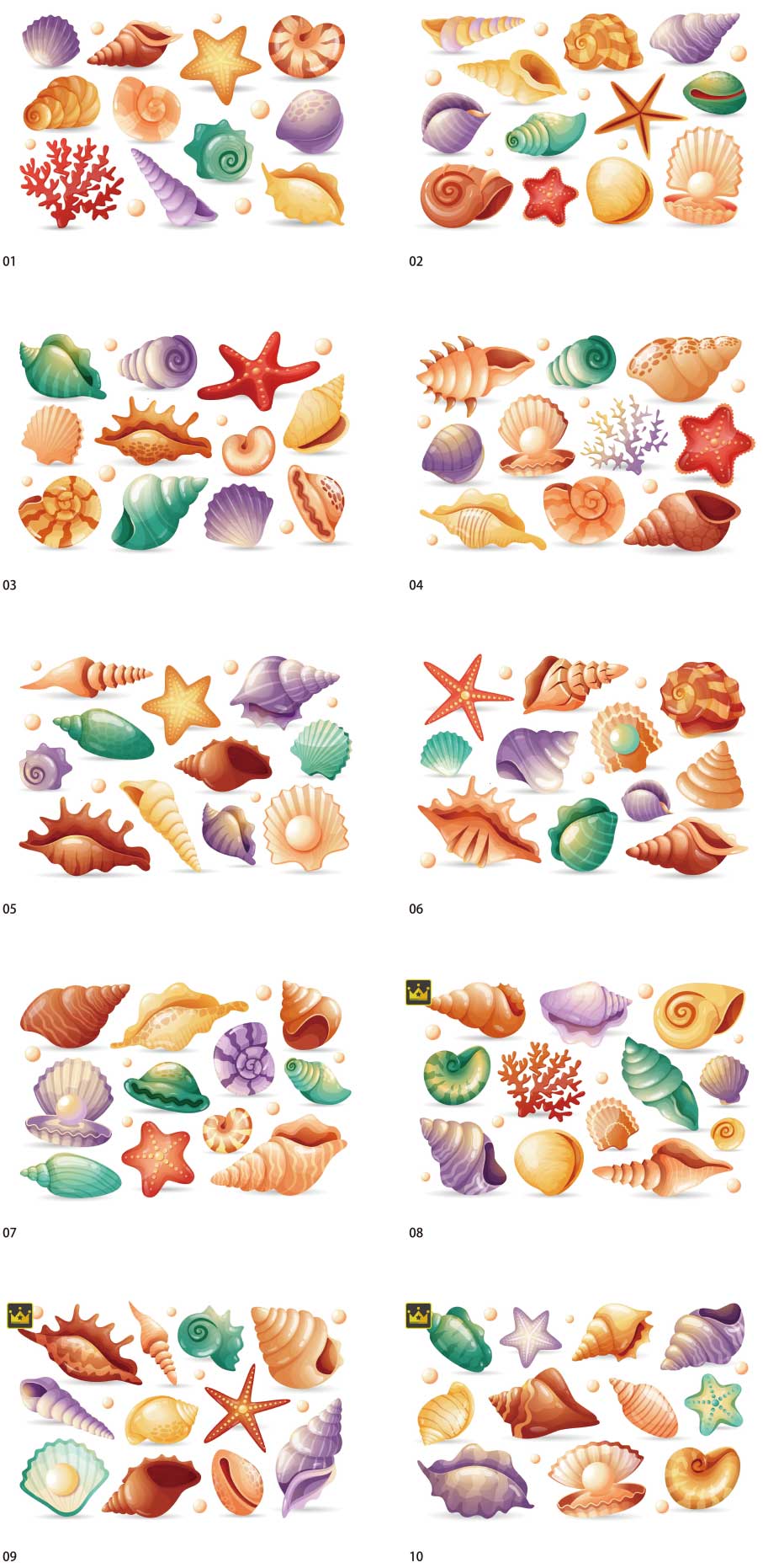 bộ sưu tập minh họa vỏ sò