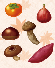 Autumn food illustration