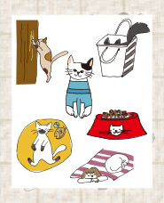 猫との生活イラスト