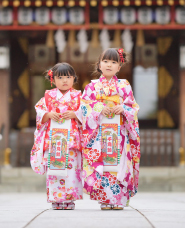일본 시치고산 축제 사진