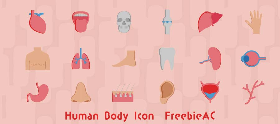 Human body parts icon