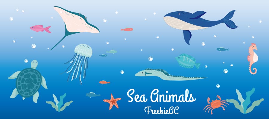 Sea creature illustration collection