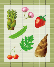 Spring seasonal ingredients illustration